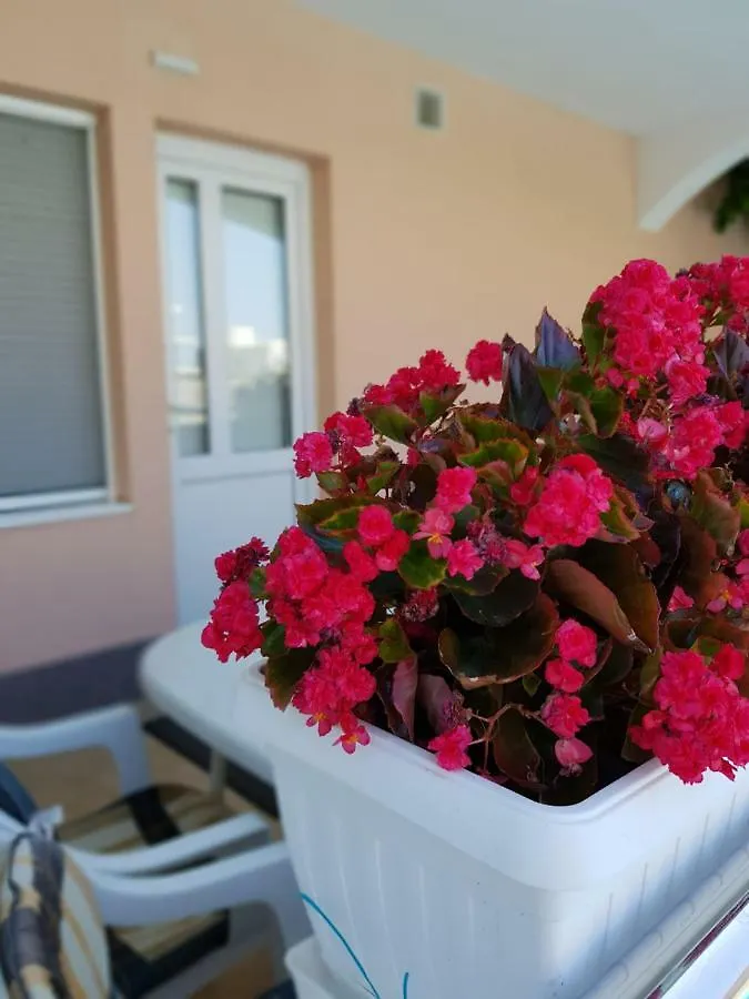 Villa Ferias 0*, Trogir